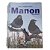 Livro - Manual de Julgamento e Standards Manon - Imagem 1
