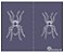 Aranhas 03 - stencil 16 x 13 cm - Imagem 1