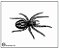 Aranhas 05 - stencil 16 x 13 cm - Imagem 2
