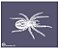 Aranhas 05 - stencil 16 x 13 cm - Imagem 1