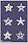 Kit Estrelas do Mar 03 - Imagem 1