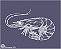 Oceano 101 - Imagem 1