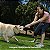Brinquedo Mordedor Dental Bone Pet Corda Grande Para Cães - Imagem 5