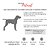 Peitoral para cachorro DONUTS - marrom - WALKIEDOG - Imagem 5