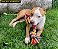 Brinquedo Mordedor Dental Bone Pet Corda Extra Gigante Para Cães - Imagem 5