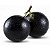 Jabuticaba Olho de Boi - Muda Pequena - Imagem 1