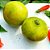 Laranja Champanhe - Muda Enxertada / Produzindo - Imagem 2