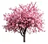 Cerejeira Sakura Okinawa - Japonesa - Kit 2 Mudas - Imagem 1
