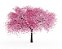 Cerejeira Sakura Okinawa - Prunus Campanulata - Muda Pequena - Imagem 1