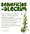 Alecrim - Muda Medicinal - Ideal Para Chás - Imagem 5