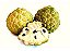 Fruta Do Conde Ou Pinha Ou Ata - Muda Próxima De Produzir - Imagem 1