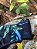 Sunga VM Tradicional Estampada Leafs - Imagem 5
