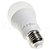 Pack 3 Lâmpada LED Bulbo 7W E27 Bivolt Branco Frio - Imagem 5