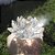 Flor de Lótus Cristal Brilhante Transparente - Imagem 3