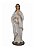 Nossa Senhora Grávida (Natividade) Resina 100 cm - Imagem 1