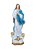 Nossa Senhora da Conceição Resina 120 cm - Imagem 1