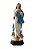 Nossa Senhora da Conceição Resina 60 cm - Imagem 1