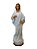 Nossa Senhora da Paz Resina 60 cm - Imagem 1