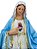 Sagrado Coração de Maria Resina 100 cm - Imagem 2