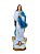 Nossa Senhora da Conceição Resina 100 cm - Imagem 1