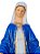 Nossa Senhora das Graças Resina 60 cm - Imagem 3