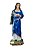 Santa Inês Resina 110 cm - Imagem 1