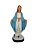 N. Sra. das Graças Mod.3 Pintada 30 cm - Imagem 1