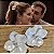 Dupla de flores Luci - Imagem 1