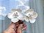 Dupla de flores Luci - Imagem 4