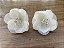 Conjunto Pin Papoula - Imagem 2