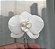 Pin Orquídea  Isa  6,00 cm Unidade - Imagem 2