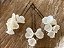 Conjunto pins Juquehy - Imagem 2