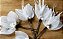 Pin folha com pérolas de água doce e plumas/ unidade - Imagem 3