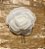 Pin Camelia 7 cm - Imagem 1