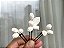 Conjunto pins com Mini botões de rosas - Imagem 3
