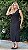 Conjunto Montaria Blusa e Saia Midi - Imagem 2