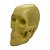 Crânio Amarelo 10cm de Gesso - Imagem 1