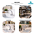 Torneira com Sensor Anti Vandalismo - Loren TS300L - 35002 - Imagem 4