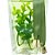 Difusor de aromas Dani Fernandes folhas verdes 250 ml - Imagem 5