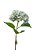 HORTÊNSIA NATURAL - BL - Imagem 2