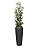 BAMBU TRONCO NT X 4 - Imagem 1