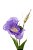 LISIANTHUS - Imagem 3