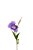 LISIANTHUS - Imagem 2