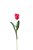 TULIPA GRANDE - Imagem 3