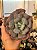 Echeveria heart's delight - Imagem 1