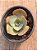 Echeveria da vinci code - Imagem 4