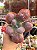 Echeveria lilac snow - Imagem 1