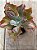 Echeveria lilac snow - Imagem 4