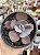 Echeveria dreams and phantasms M - Imagem 1