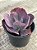 Echeveria dreams and phantasms - Imagem 4